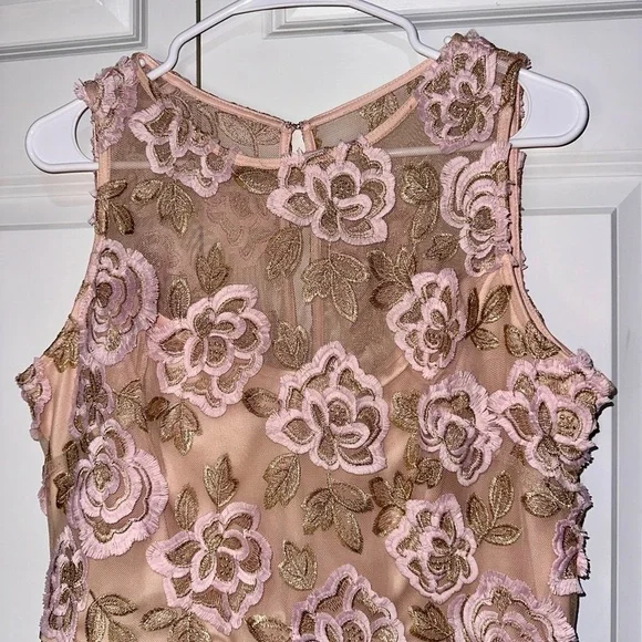 Taylor Pink and Gold Lace Dress 16 (party, cocktail) - Picture 4 of 5